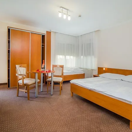 Wellness Hotel-m -