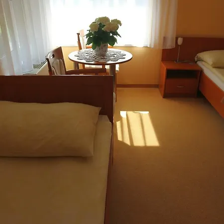 Wellness Hotel-m - 4*