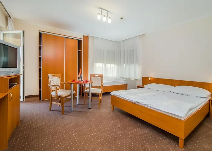 Wellness Hotel-m -