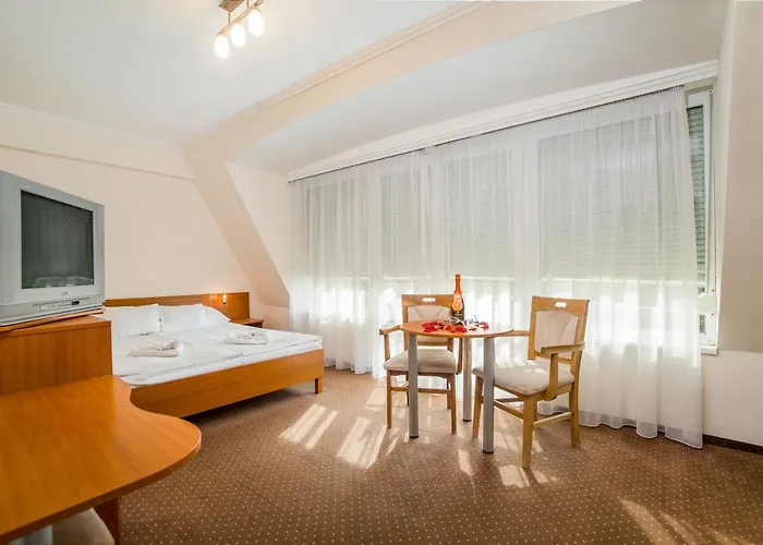 Wellness Hotel-m - فندق