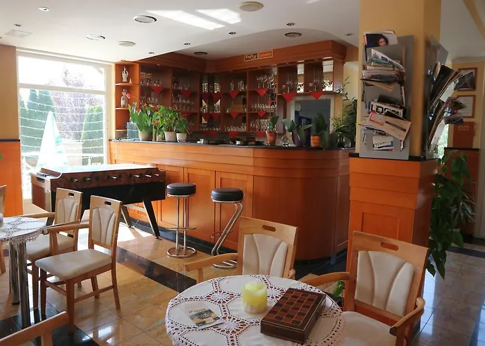فندق Wellness Hotel-m - 4*