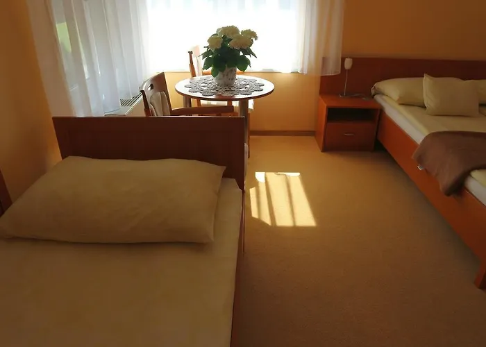 Wellness Hotel-m - 4*